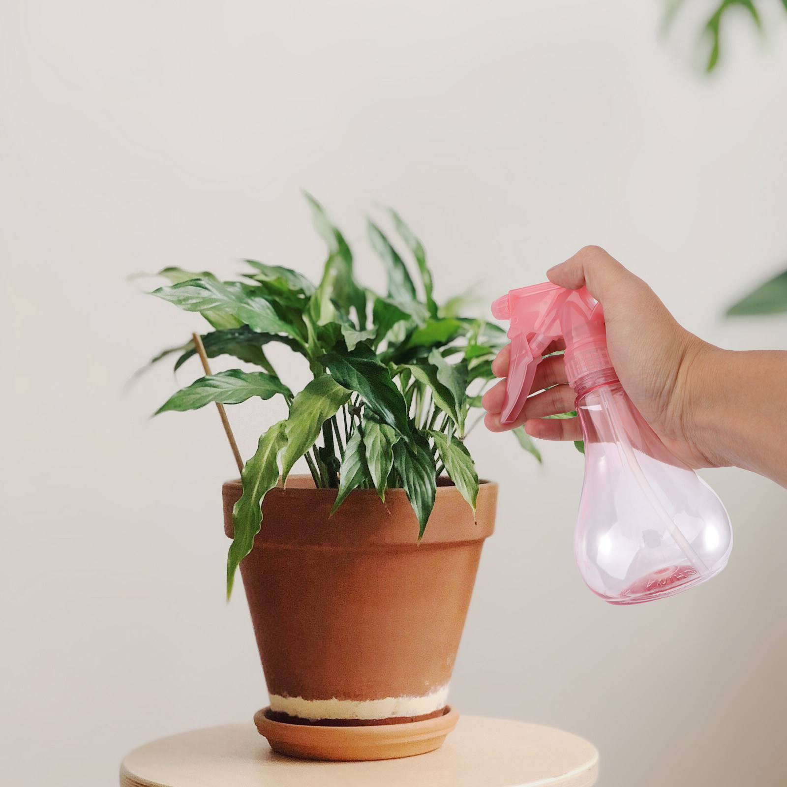 Gardening Tools Set - ミニ多肉植物植え付けツールキット1セット、ガーデン植え付けツールセット、植え替え用花アクセサリー、人間工学に基づいたデザイン
