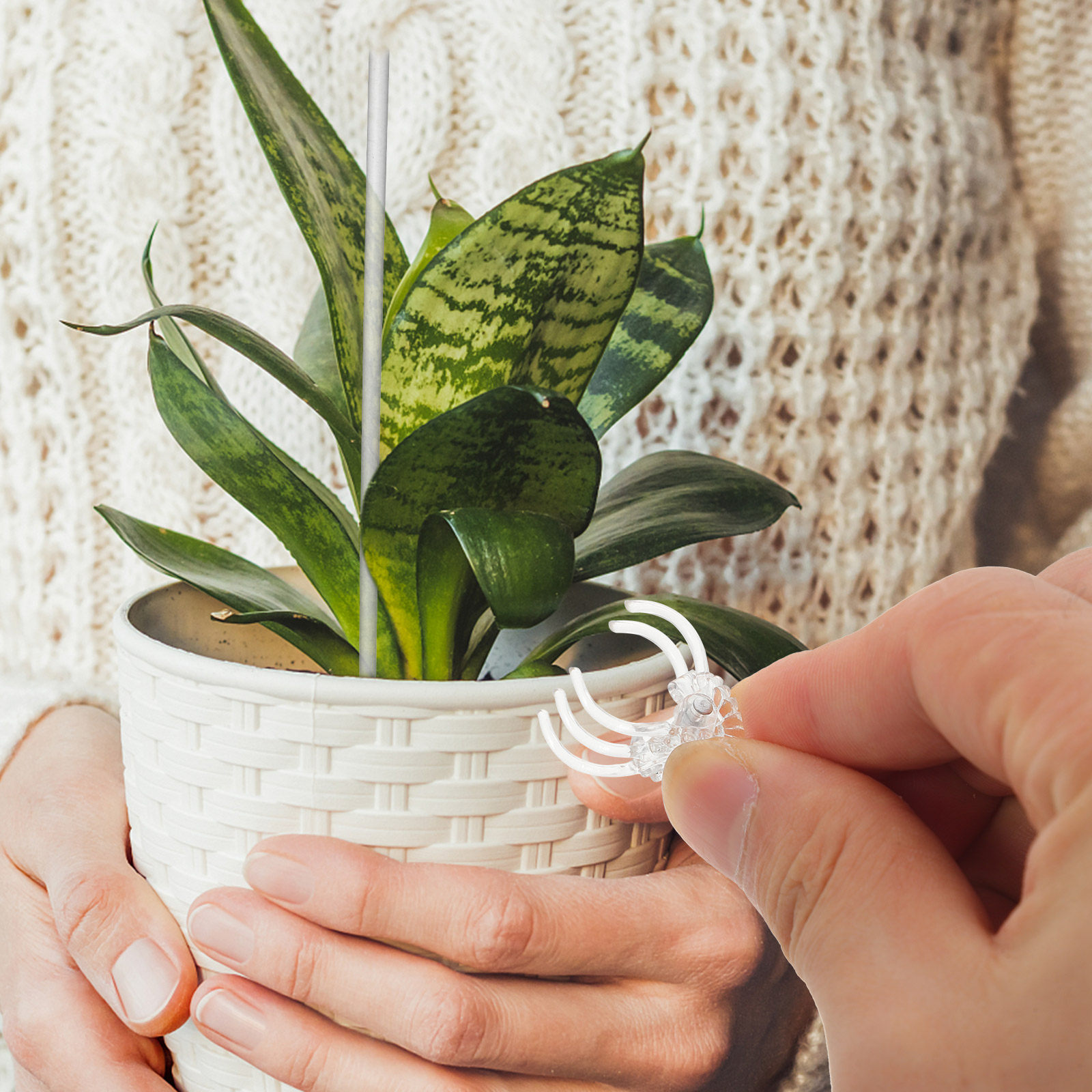 Gardening Tools Required - 1セット 透明アクリル製植物サポートステークセット つる性植物 バラ 蘭用 簡単設置