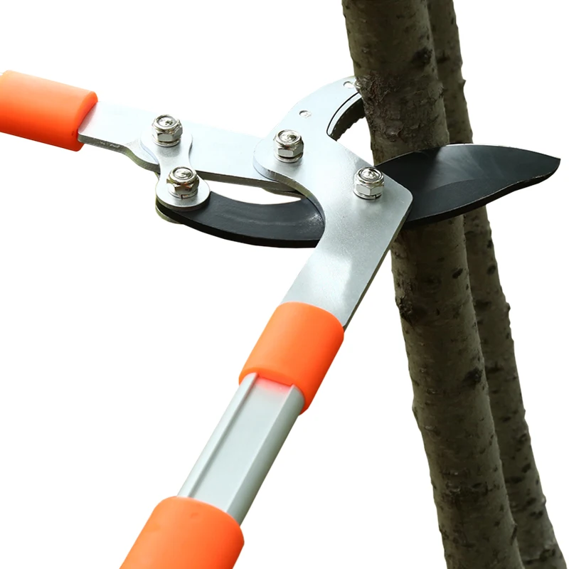 Gardening Tools German - ロングレングスはさみヘッジアンビルシアーアンチスリップグリップ庭の剪定ハンドツールラチェットカット木の枝ガーデンツール