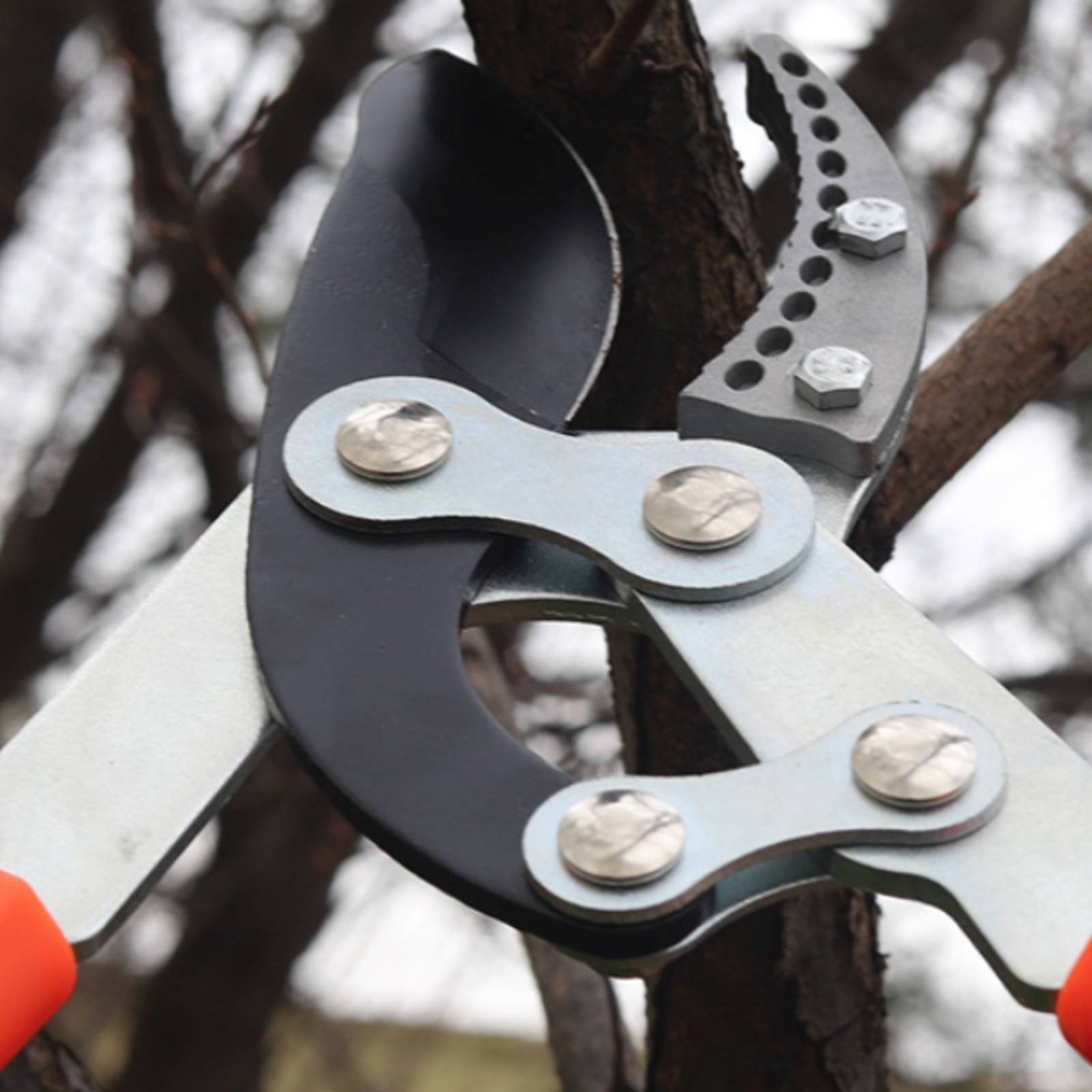 Gardening Tools In - 伸縮式枝切り鋏 シャープブレード 頑丈な木剪定鋏 剪定鋏 快適なグリップ ガーデニングツール