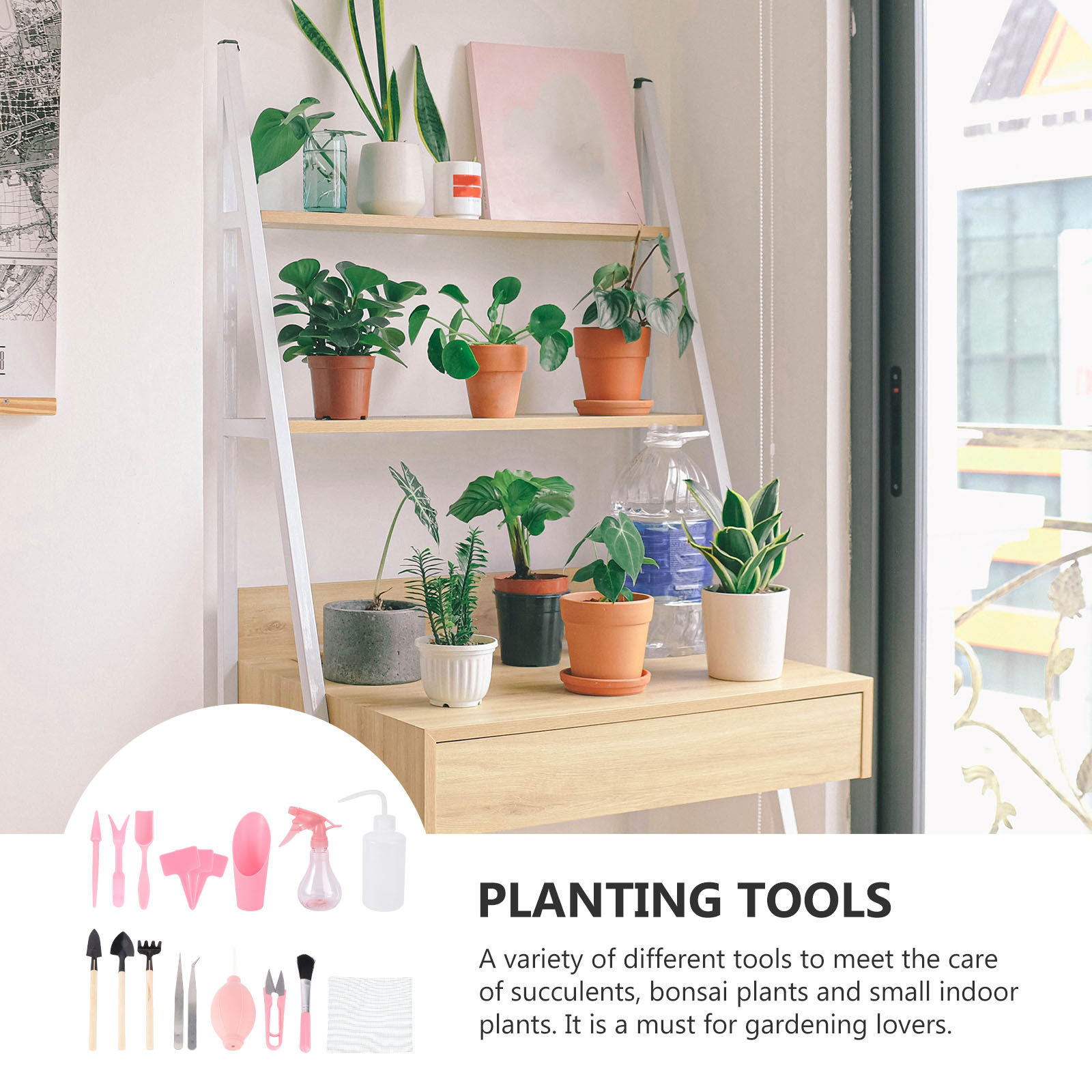 ミニ多肉植物植え付けツールキット1セット、ガーデン植え付けツ - Gardening Tools Set のレビューと価格