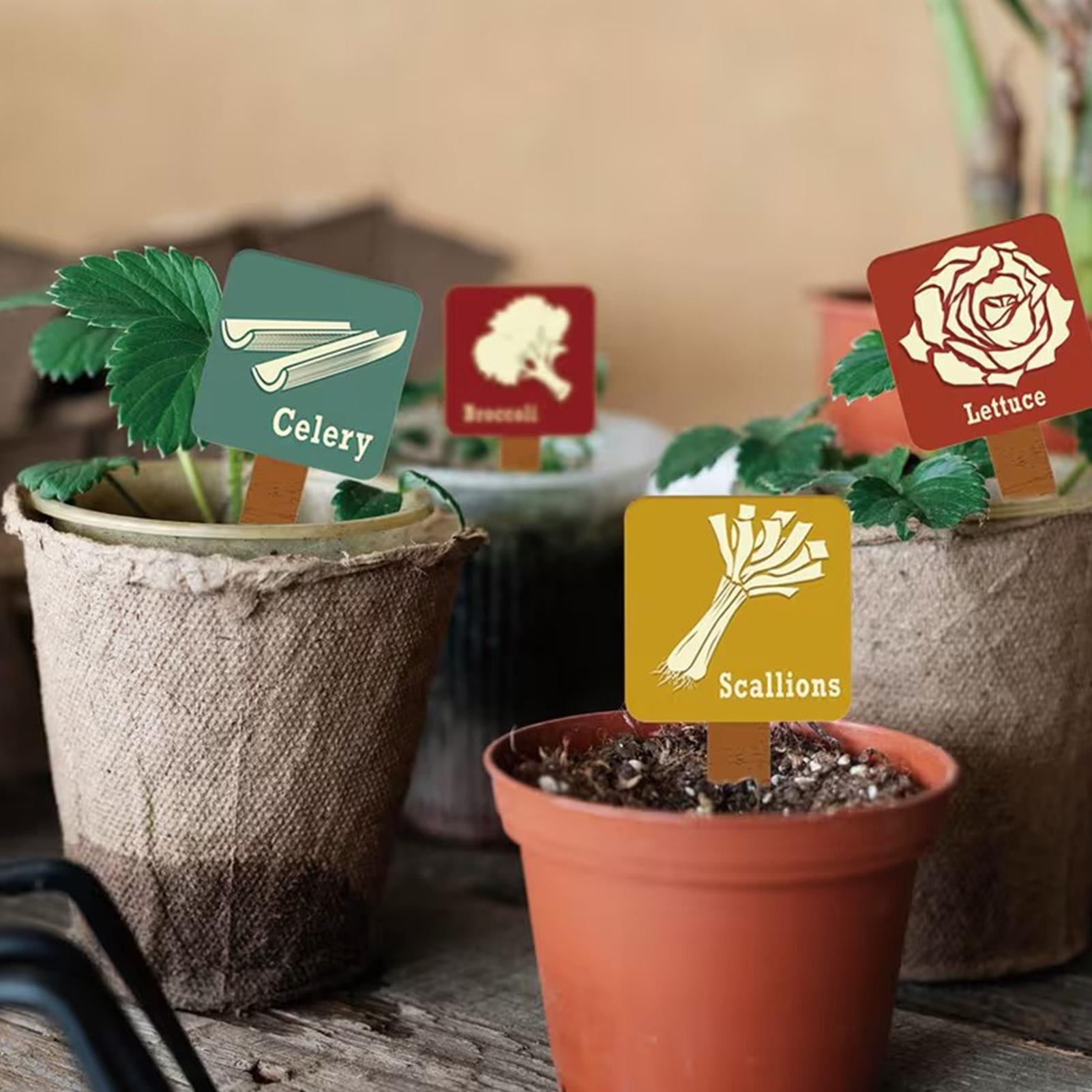 庭の植物マーカー 15 個 T 字型標識タグマーカー植物ラベ - Garden Row Marker のレビューと価格