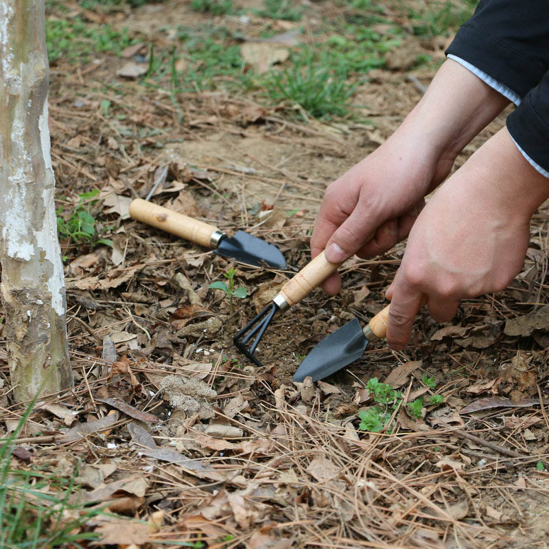 3 ピース/セットミニガーデンツールセット庭の植物フラワーポ - Gardening Tools For Digging のレビューと価格