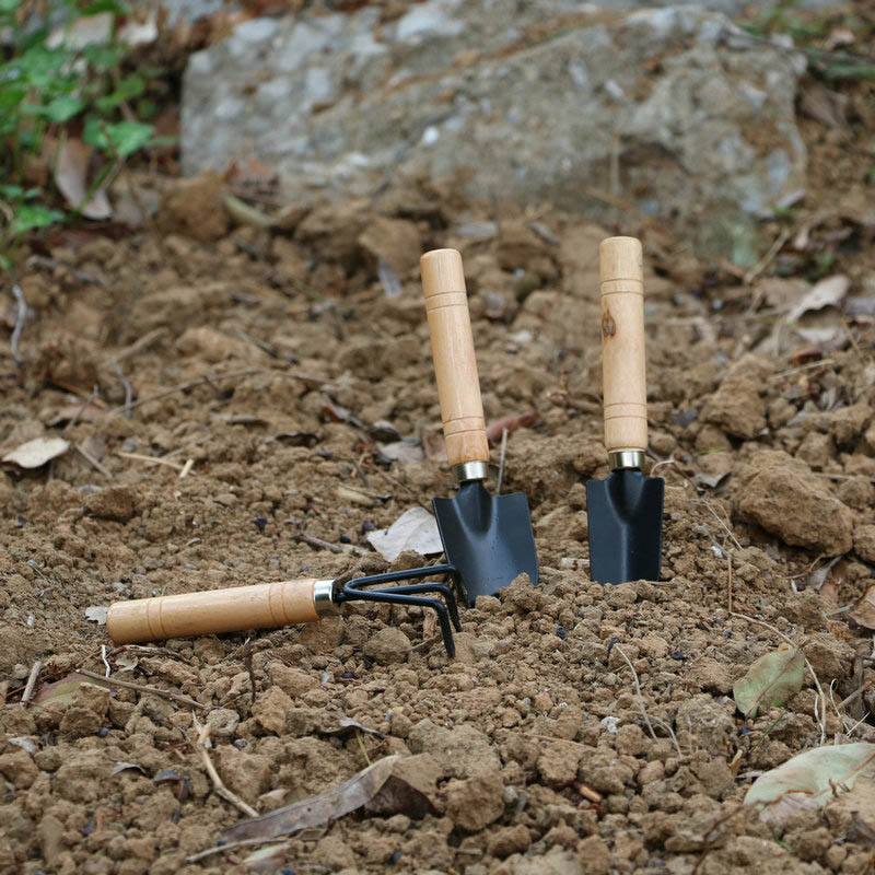 3 ピース/セットミニガーデンツールセット庭の植物フラワーポ - Gardening Tools For Digging のレビューと価格