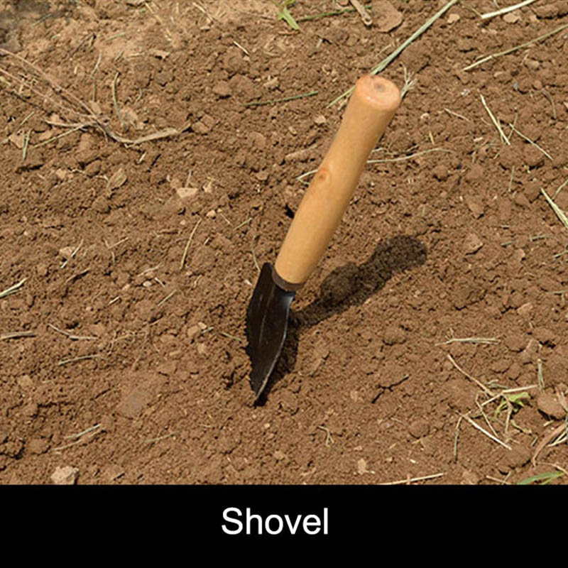 3 ピース/セットミニガーデンツールセット庭の植物フラワーポ - Gardening Tools For Digging のレビューと価格