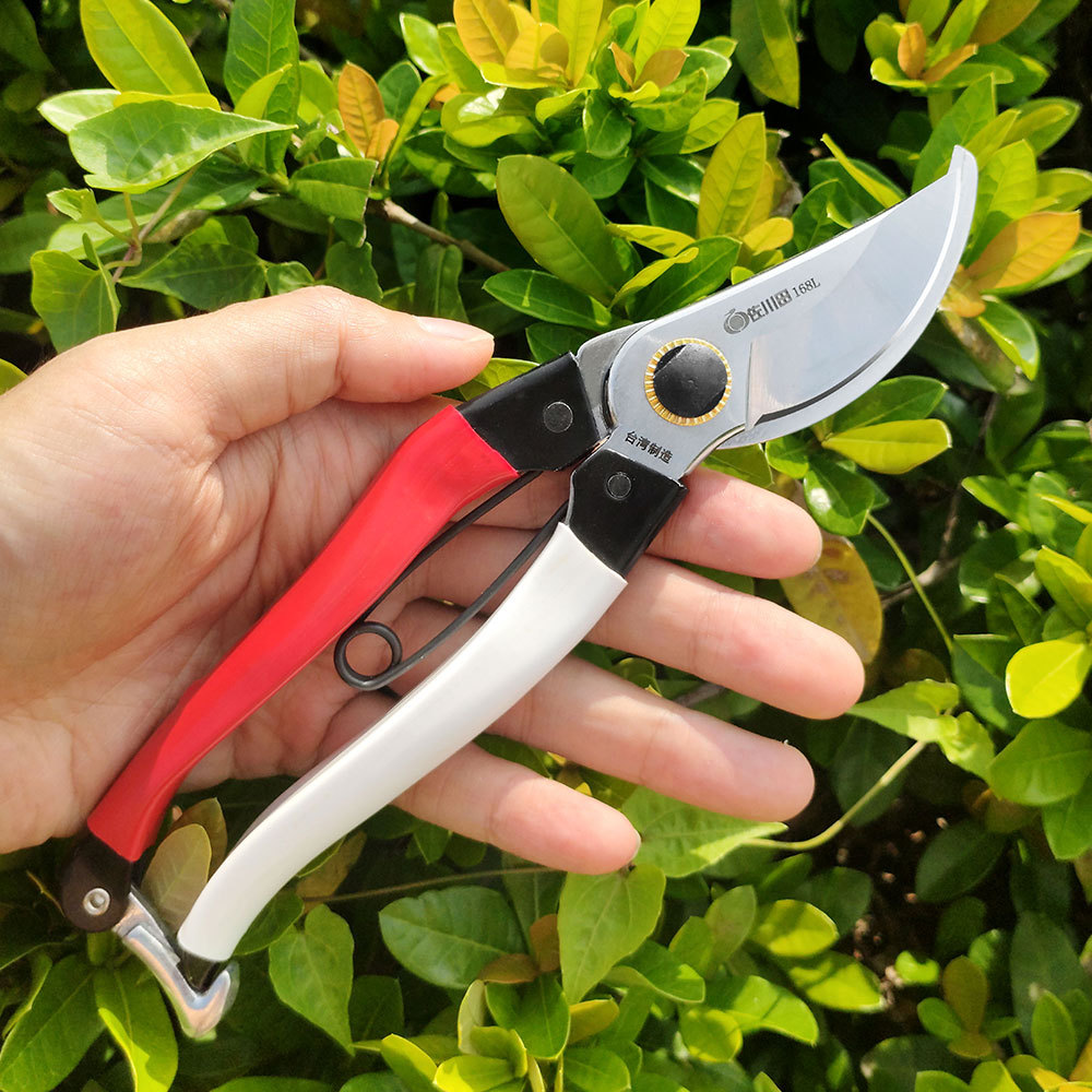 サカワダ-日本の鋼剪定ばさみ、園芸工具、果物の枝はさみ、樹木 - Gardening Tools In Japan のレビューと価格