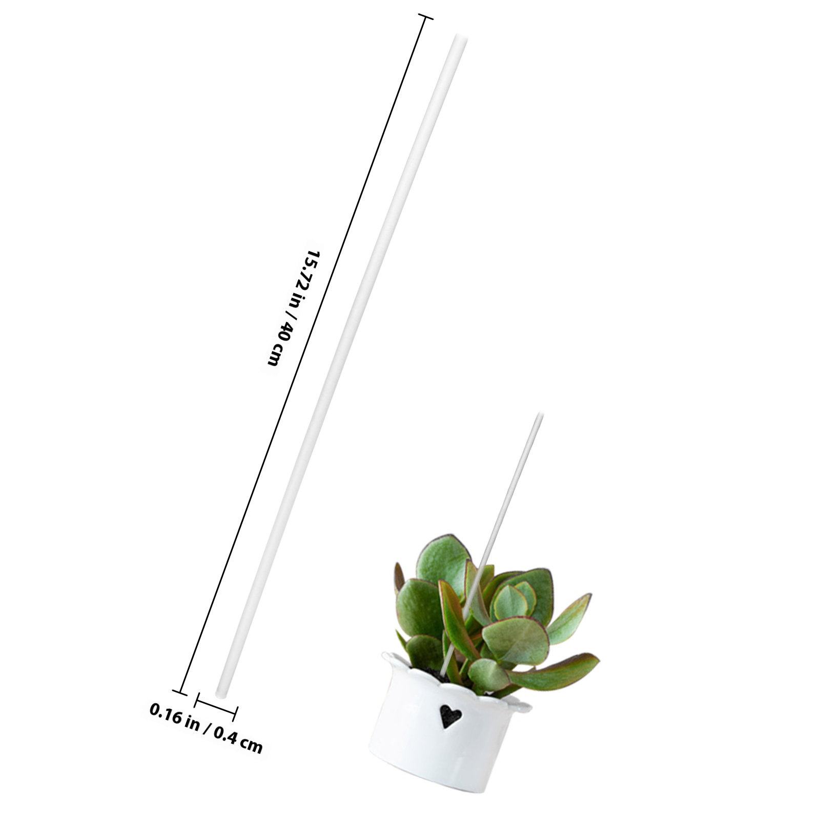 1セット 透明アクリル製植物サポートステークセット つる性植 - Gardening Tools Required のレビューと価格