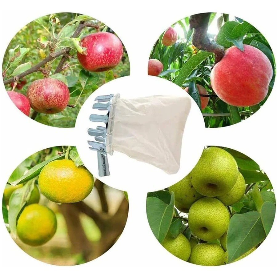 3-in-1フルーツ収穫ツールセット（伸縮ポールと収集バッグ - Gardening Tools Set のレビューと価格