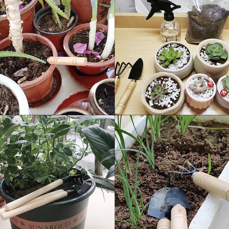 木製ハンドル付きミニガーデニングツールセット3点、屋内植栽や - Gardening Tools Set のレビューと価格