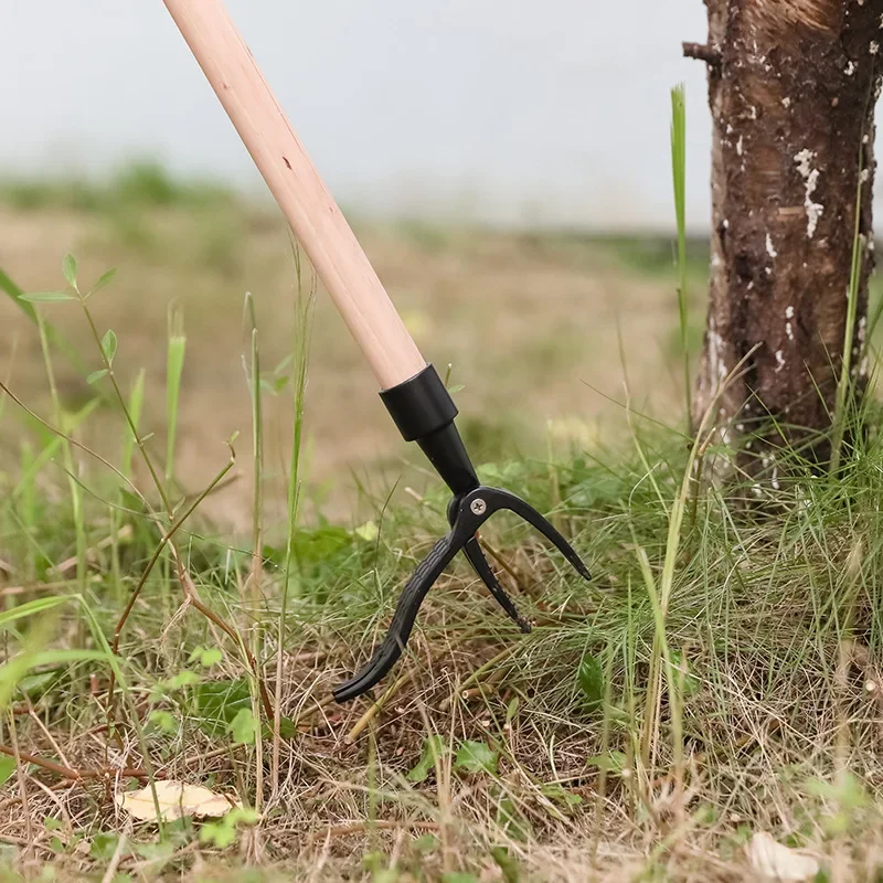 スタンドアップ雑草抜きツール ネジ穴付き ポータブル除草ヘッ - Grass Seed Spreader のレビューと価格