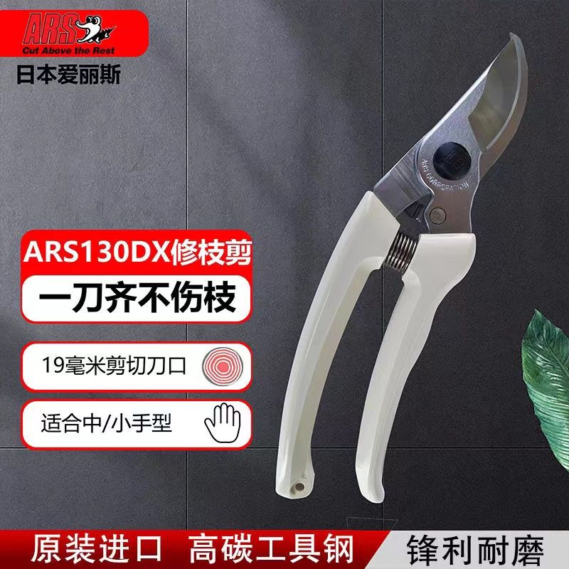 剪定鋏、ガーデンツール、木と花の切り落とし、日本から輸入した - Gardening Tools In Japan のレビューと価格