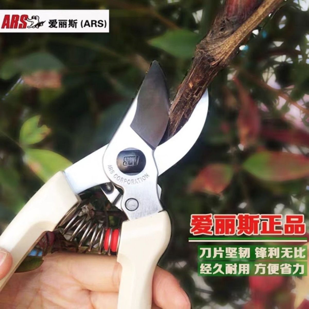 剪定鋏、ガーデンツール、木と花の切り落とし、日本から輸入した - Gardening Tools In Japan のレビューと価格