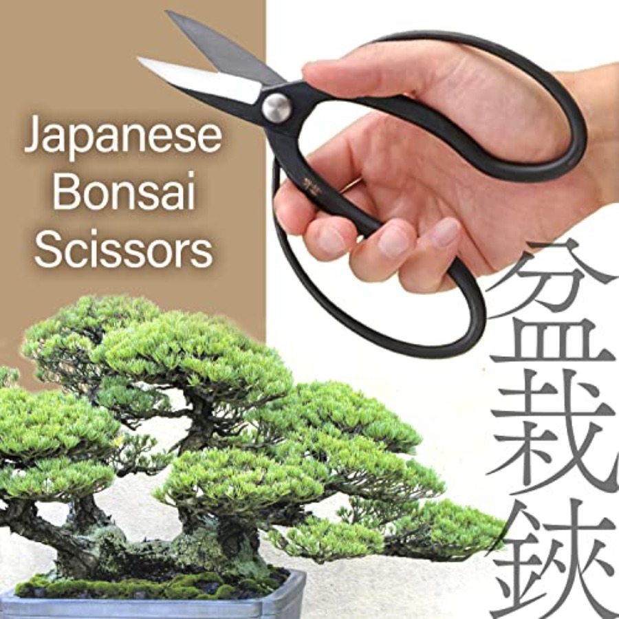 日本の水龍盆栽鋏 - 伝統的なハサミ剪定鋏、日本の盆栽園芸工 - Gardening Tools In Japan のレビューと価格
