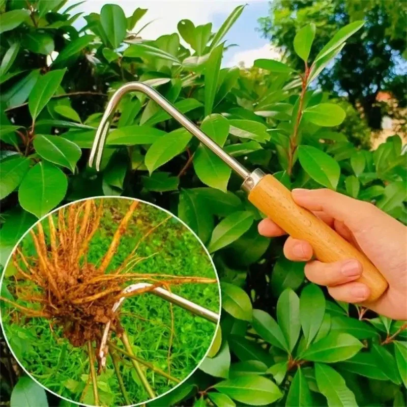ステンレス鋼ガーデニングピンダー手動取り外しポータブルツール - Grass Seed Spreader のレビューと価格