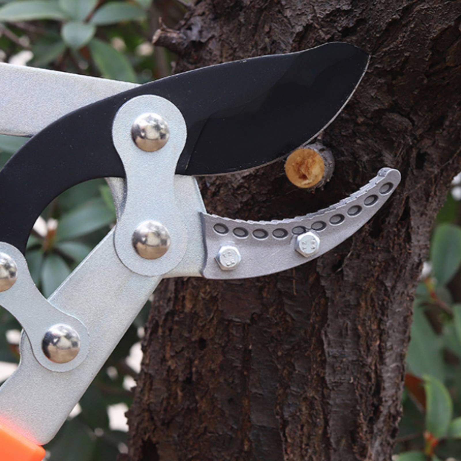 伸縮式枝切り鋏 シャープブレード 頑丈な木剪定鋏 剪定鋏 快 - Gardening Tools In のレビューと価格