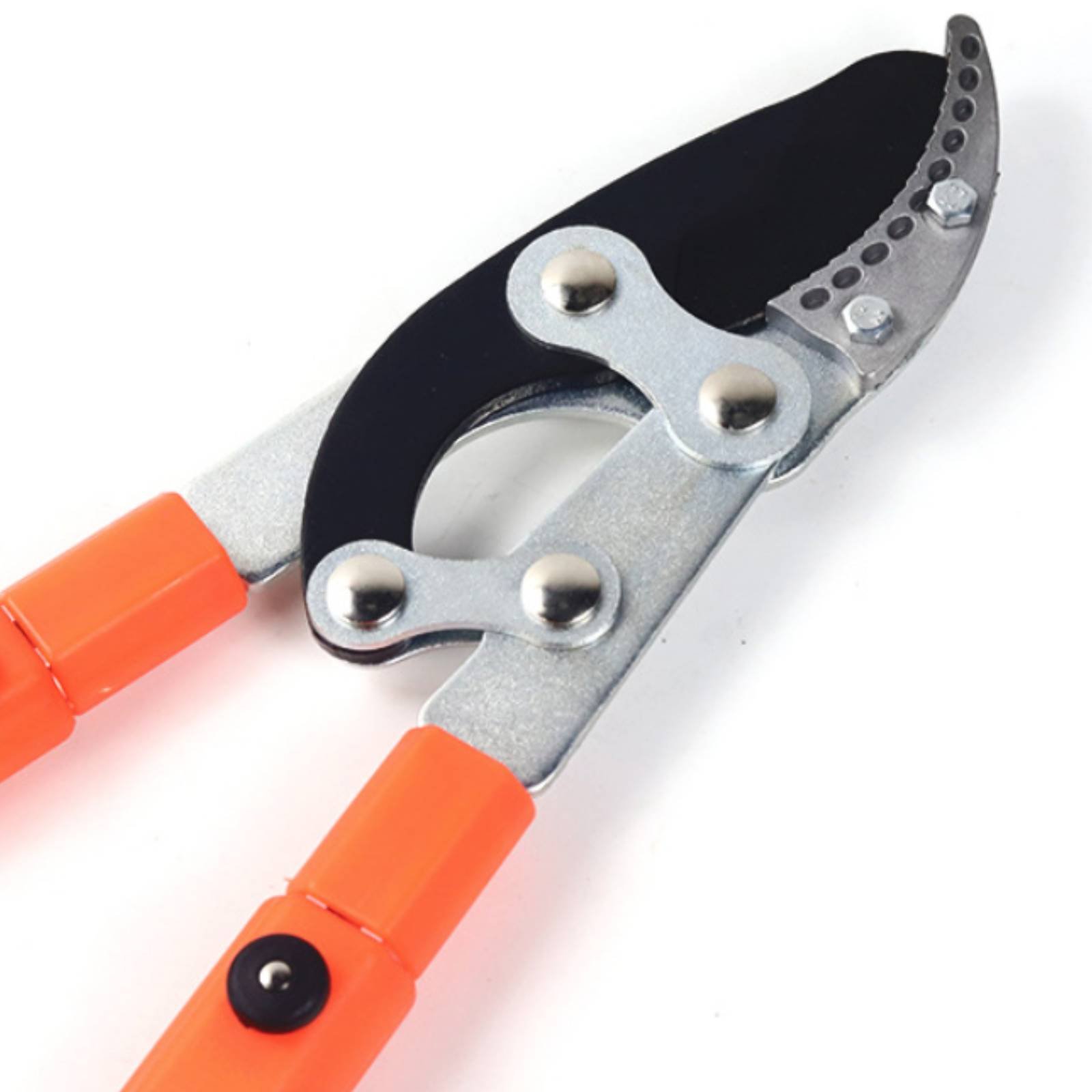 伸縮式枝切り鋏 シャープブレード 頑丈な木剪定鋏 剪定鋏 快 - Gardening Tools In のレビューと価格